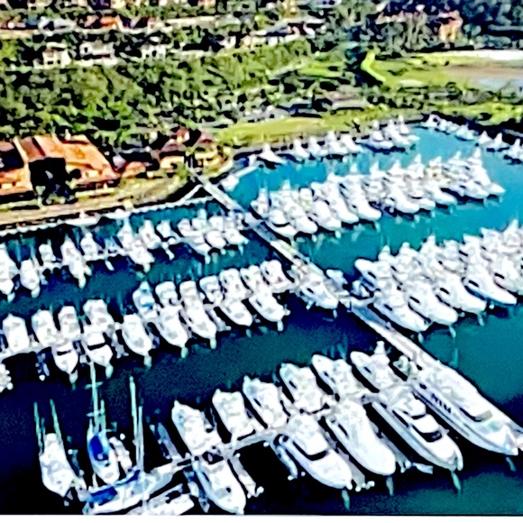 Meet your Posher, Jones - Picture 1 of 1